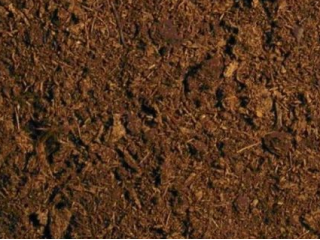 Harvested Peat